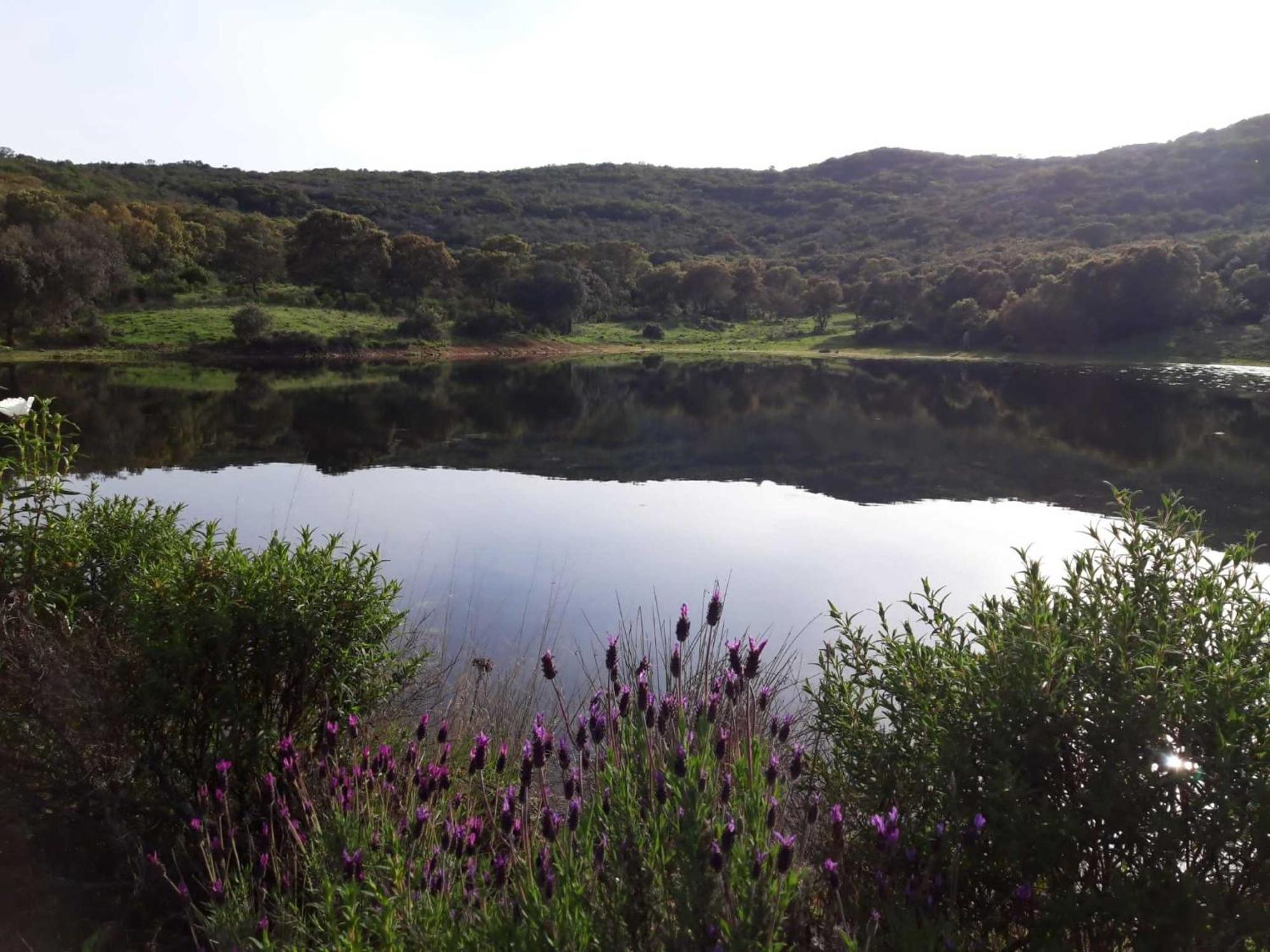 Las Chorreras Del Orejon 2 Villaviciosa de Cordoba ภายนอก รูปภาพ