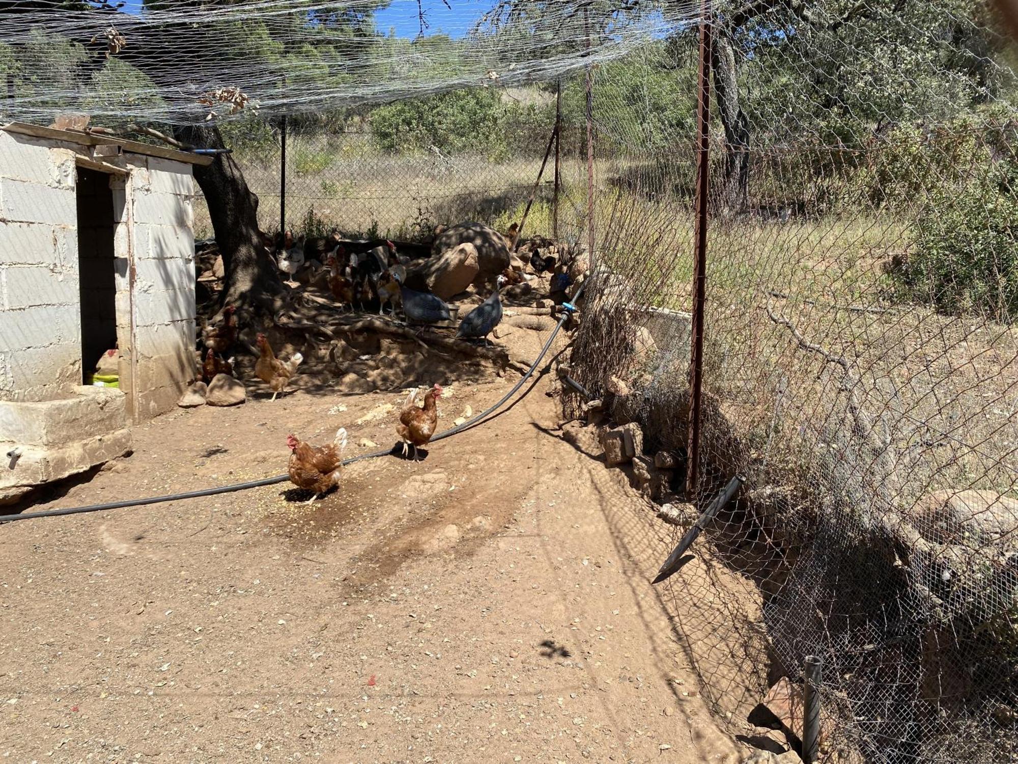 Las Chorreras Del Orejon 2 Villaviciosa de Cordoba ภายนอก รูปภาพ
