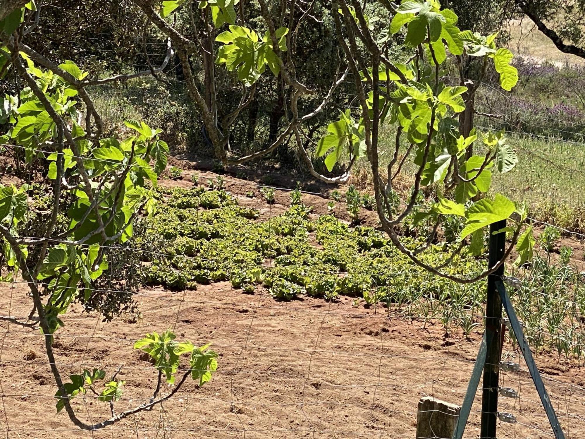 Las Chorreras Del Orejon 2 Villaviciosa de Cordoba ภายนอก รูปภาพ